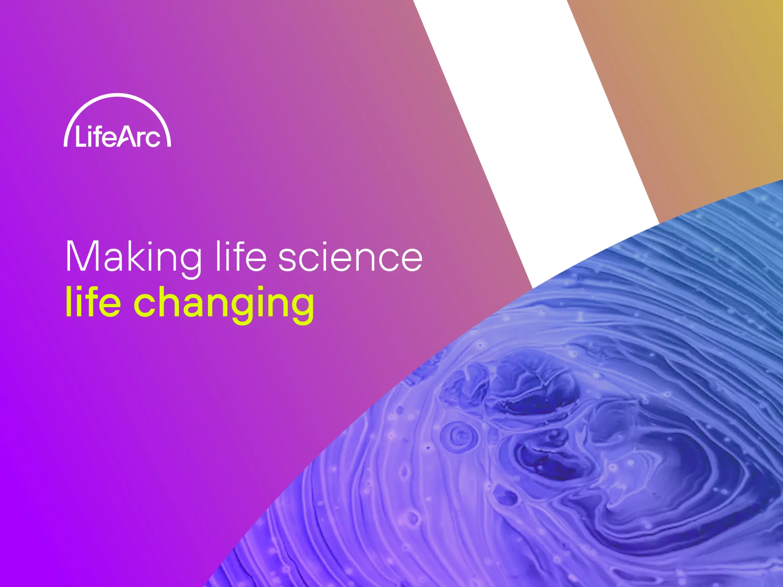 life arc digital lifearc banner 2 scaled