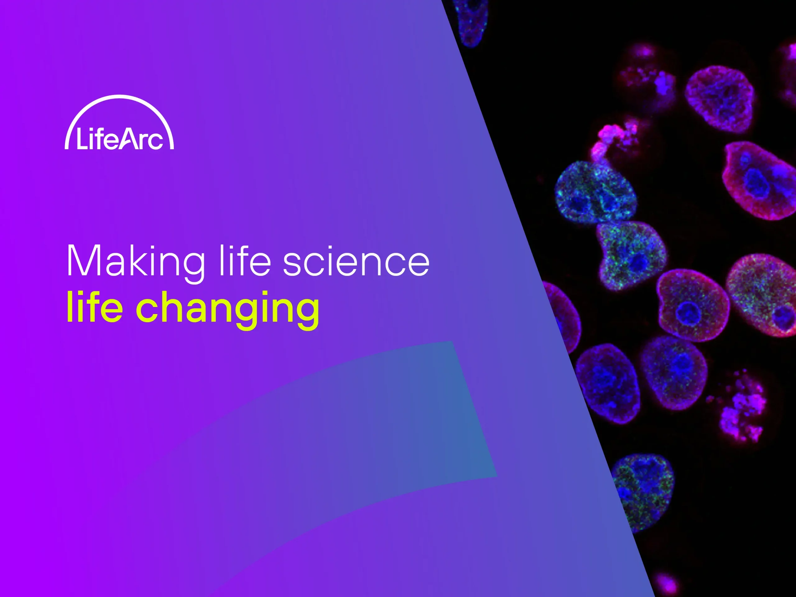 life arc digital lifearc banner scaled