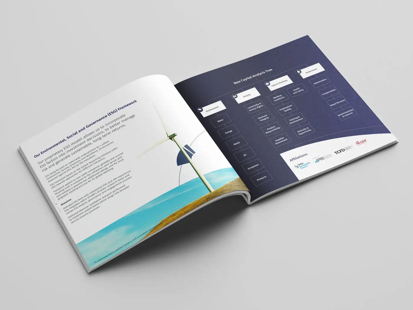 NC Brochure spread 2