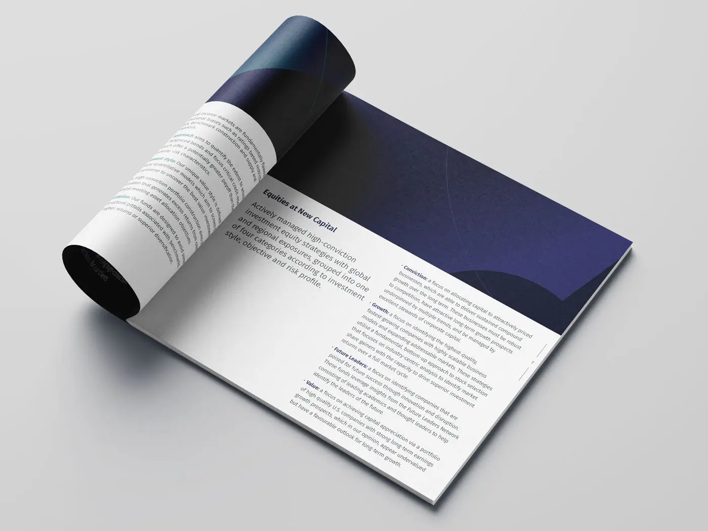 NC Brochure spread 3