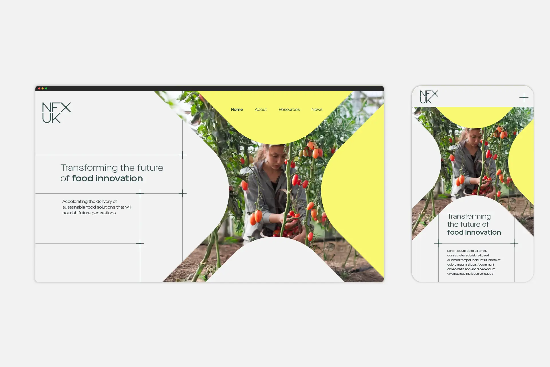 NFX concept website
